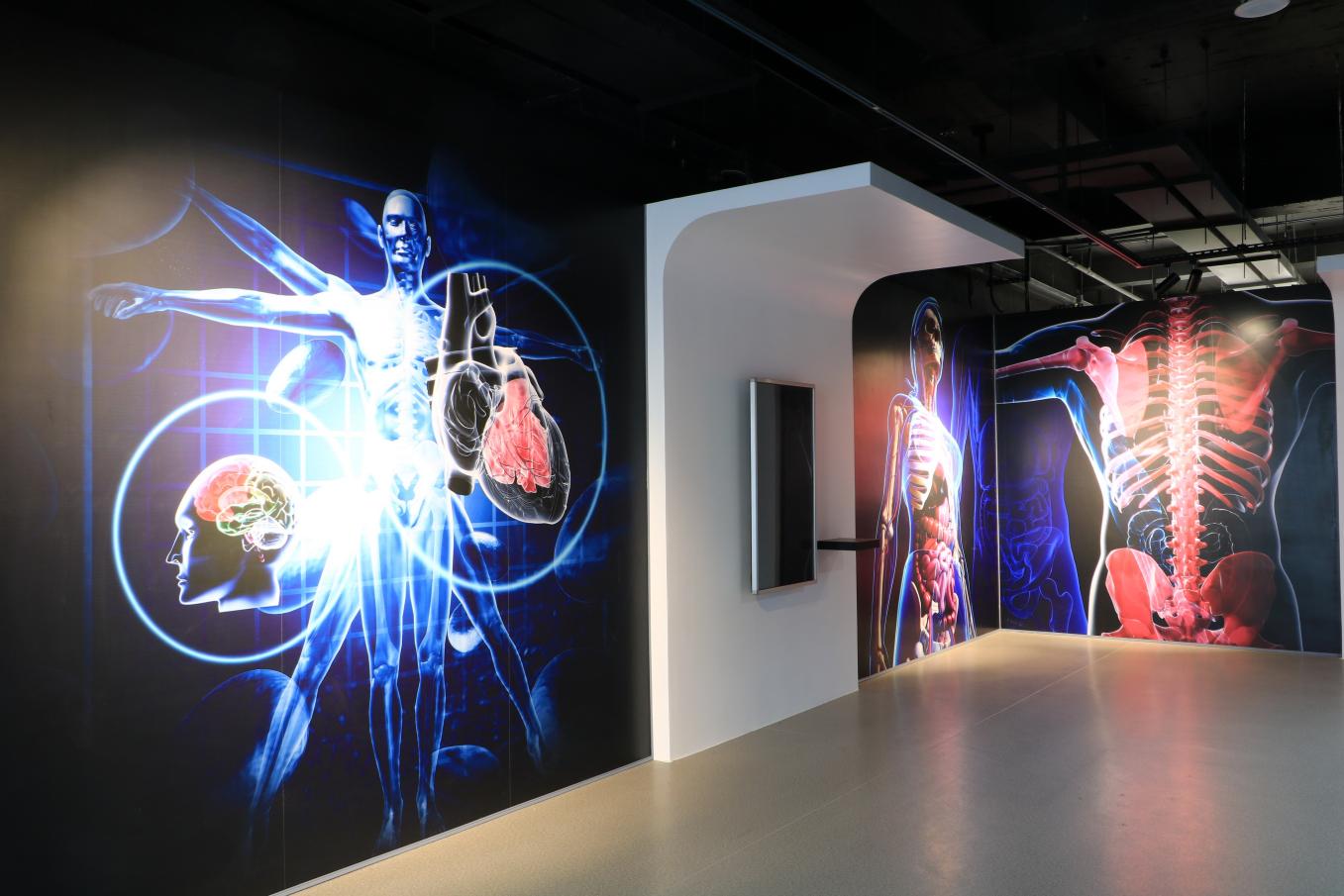 永利集团304官方入口人体科学馆数字解剖互动区