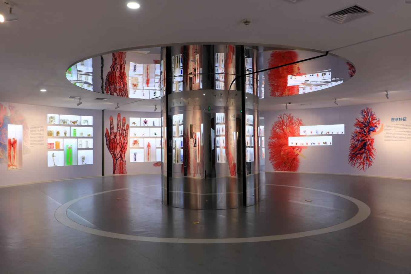 永利集团304官方入口人体科学馆精品展区